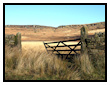 Stanage Edge